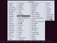 02_Ubuntu_15.10_F2_nyelv