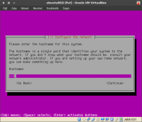 4_hostname