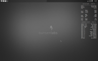 bunsenasztal