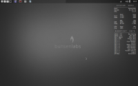 bunsenram