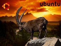 Ubuntu_8.10