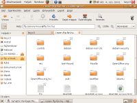 Ubuntu_8.10