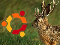 Ubuntu_9.04