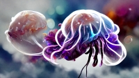 jelly7