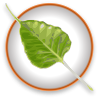 Bodhi-linux_logo