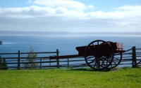 cart