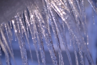 icecycles