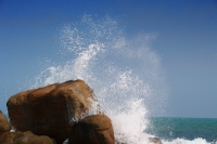 splash