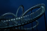 tiger-turtle