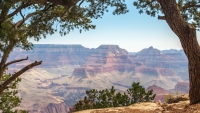 Grand View