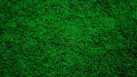 GreenGrass