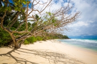 Seychelles Dreams 5