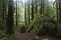kirkb-IMG_3980