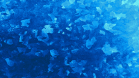blue-dream-1