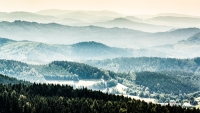 fog