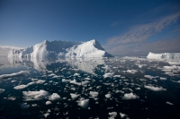 Iceberg