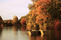 rodrigodearaujo-Vincennes_Tatiana_Caju