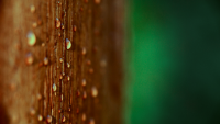 raindrops
