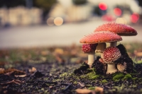 On the roadside