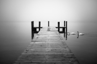 calm
