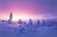 winter-in-bohemia