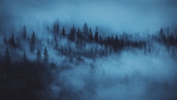 blue-mystic