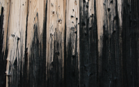 old-wood