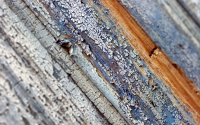 Blue_Wood