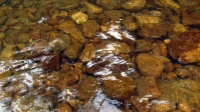 aviatorjk_7223
