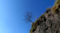 aviatorjk_5952