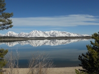 zackh_0382