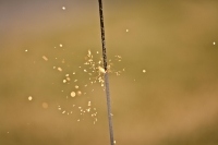 sparks