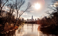 central_park