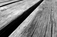 wood