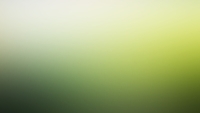 rapciu_grass