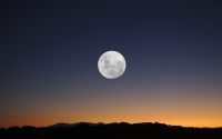 jankaluza_moon