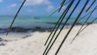 linuxmint_beach