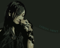 linuxmintfm8