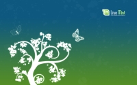 Wide_Butterfly