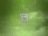 Dew