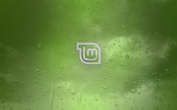 Wide_Dew