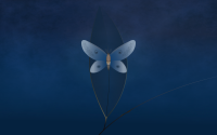 1110-lubuntu-moth
