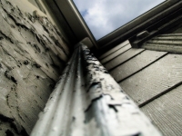 raingutter