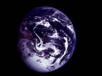 gal_new-zealand