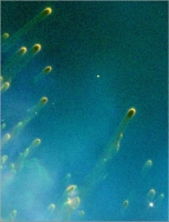 hst_helix_detail
