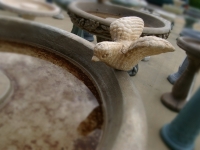 stone_bird