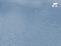 suse-water-1400x1050