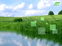 suse9.1-green-1600
