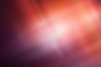 1204