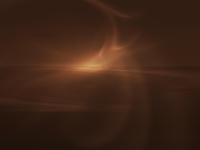 504
